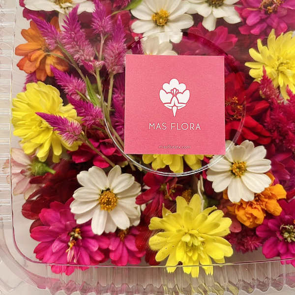 Assorted colorful flowers in a clear plastic gift box
