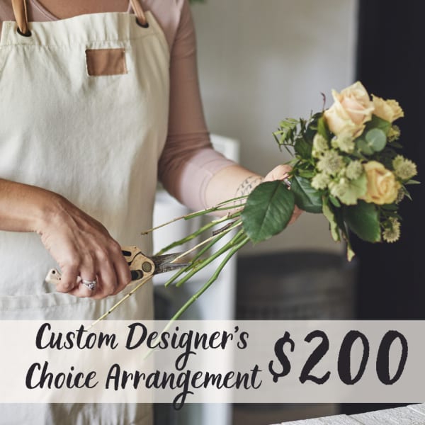 Designer's Choice Unique Designs - $200