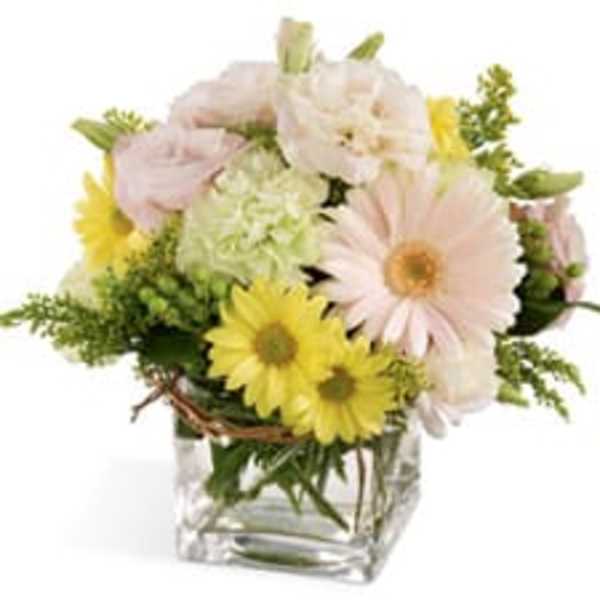 Bouquet of pale pink and yellow daisies in a clear glass vase