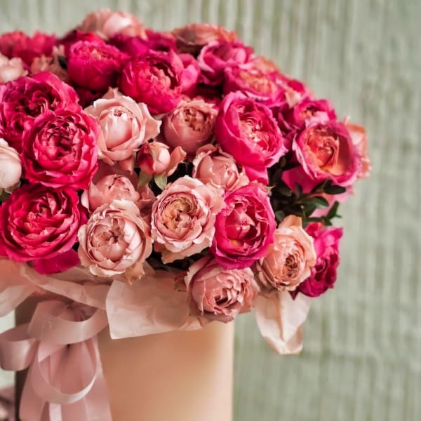 Bouquet of pink and blush roses in a pale vase with ribbon