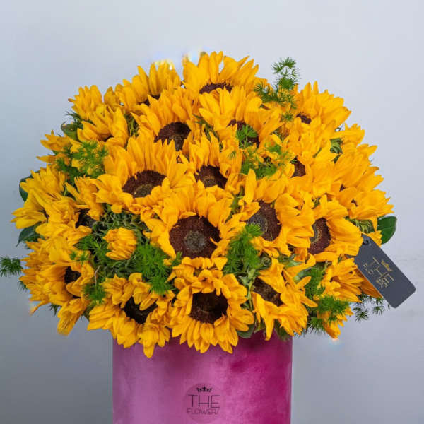 Sunny Flowers