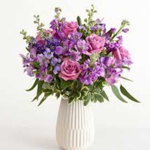 Lavender Expressions