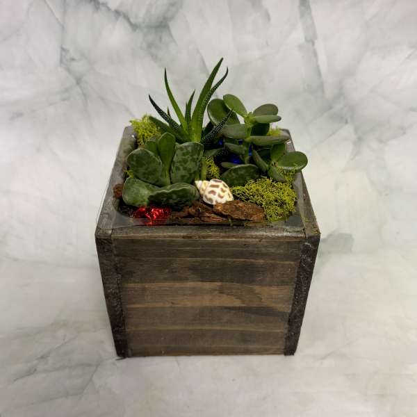 Succulent arrangement in a square wooden planter with decorative moss