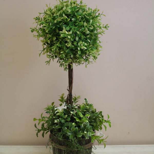 Potted topiary plant with two rounded green foliage clusters