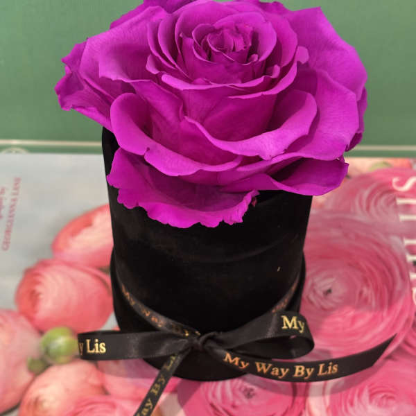 Buscate. (PRESERVED ROSE)