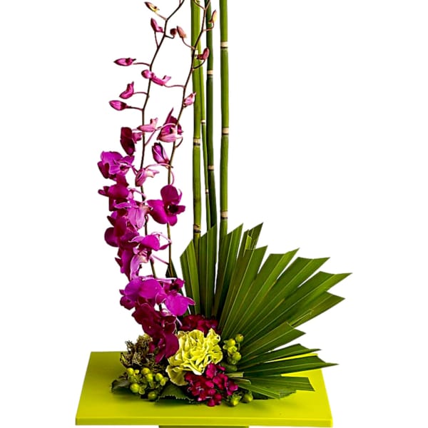 Purple orchids with bamboo and fan-shaped leaves in a green container