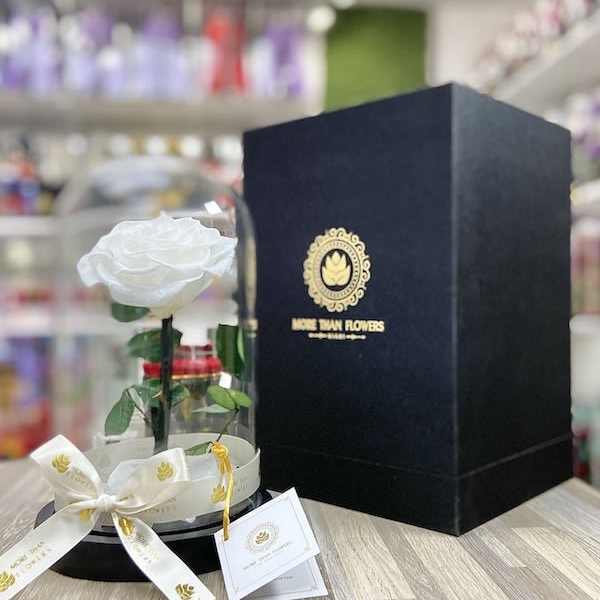 Single white rose under a glass dome with ribbon and black gift box on a wooden surface