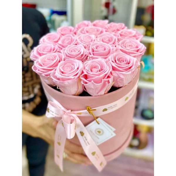 Round pink box filled with tightly packed light pink roses and tied with a printed ribbon.