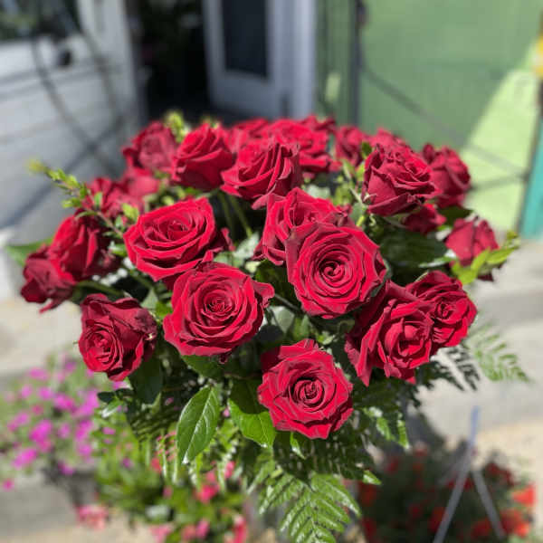 Bouquet of red roses with fern foliage