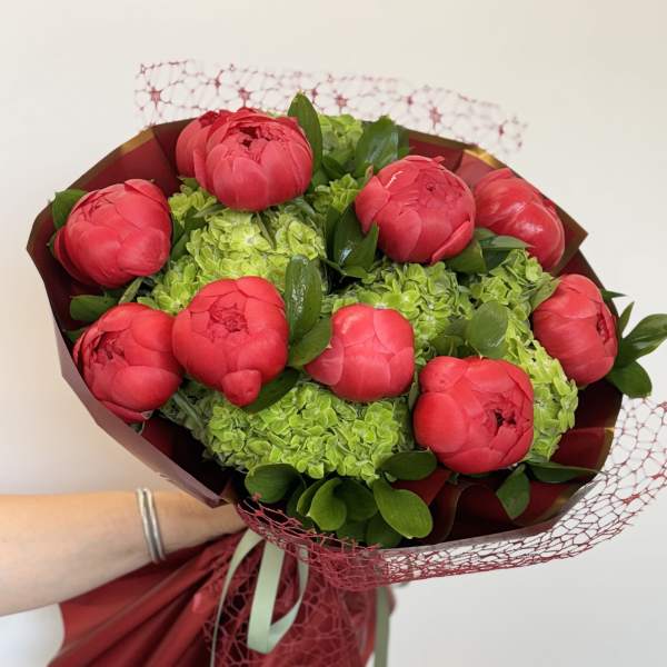 Bouquet of red peonies with green hydrangeas and burgundy wrapping