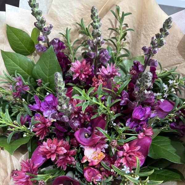 Moody Purples
