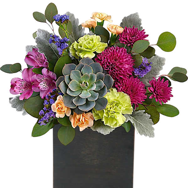 Succulent and mixed flower arrangement in a black square vase