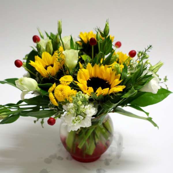 Bouquet of sunflowers, white blooms, and red berries in a glass vase