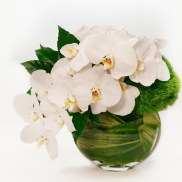 White orchids arranged in a round glass vase with green foliage