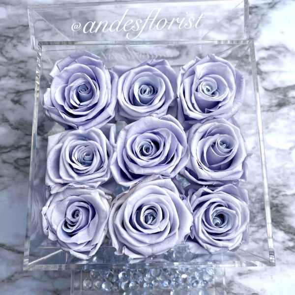 Nine lavender roses in a clear square box