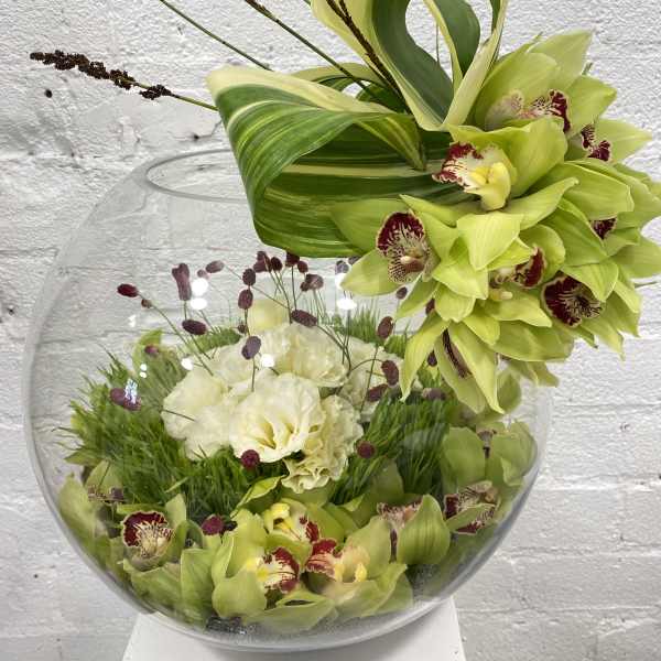 Green orchids arranged in a glass bowl with white flowers and burgundy accents