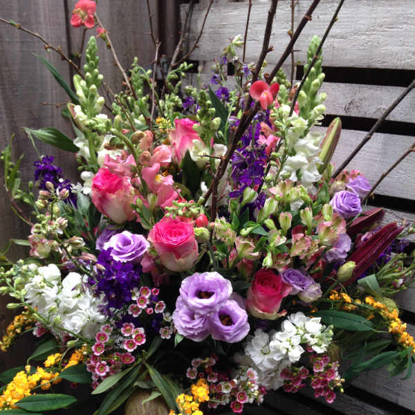 Spring Awakening