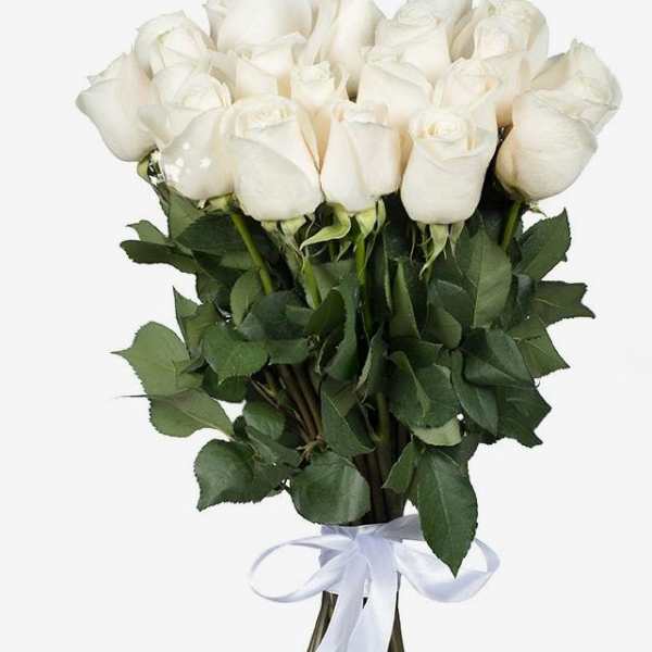 Bouquet of white roses tied with a white ribbon