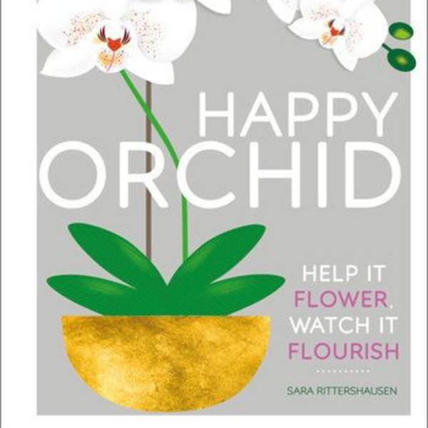 Happy Orchid