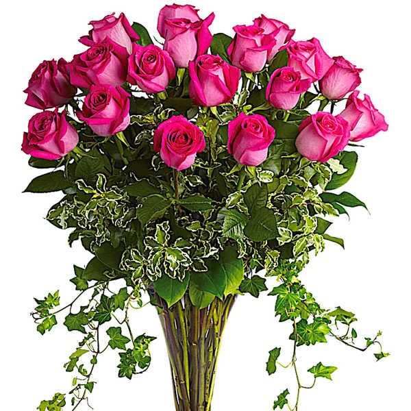 Pink roses arranged in a tall clear glass vase with trailing ivy