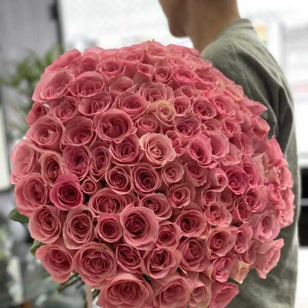 Large bouquet of pink roses held by a person