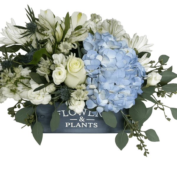 Blue hydrangeas and white flowers in a dark wooden box