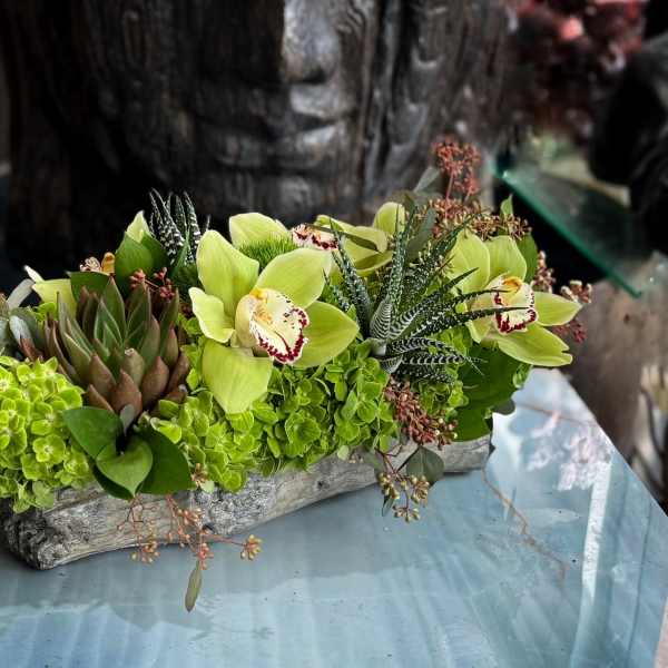 Green orchid and succulent arrangement in a rustic rectangular container