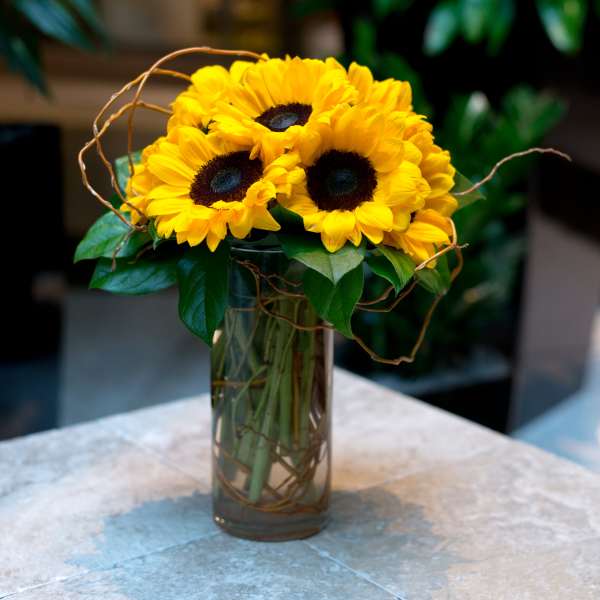Sunflower bouquet in a tall glass vase