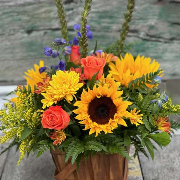 Basket arrangement with sunflowers, coral roses, and purple flowers