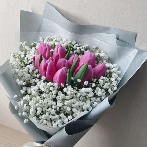 Bouquet of pink tulips surrounded by white baby's breath
