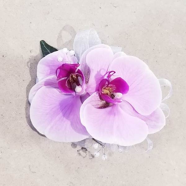 Two pale pink orchid blooms with a sheer ribbon accent