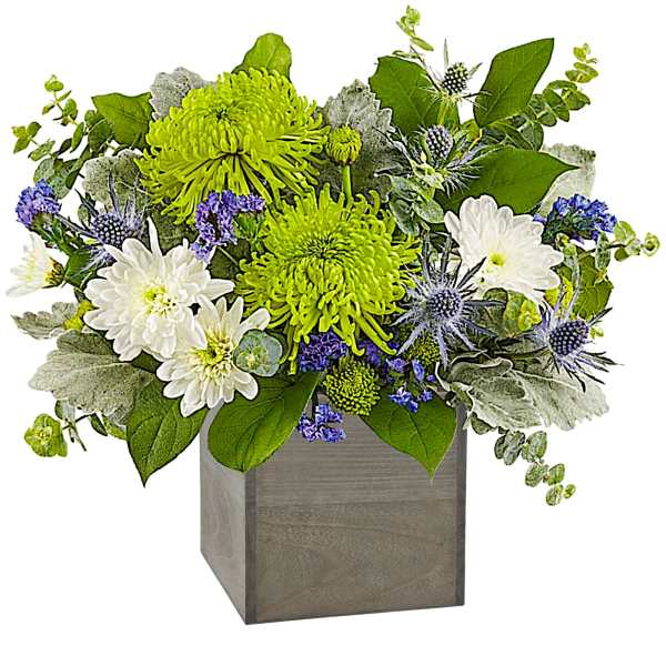 White and lime green chrysanthemum arrangement in a square wooden vase
