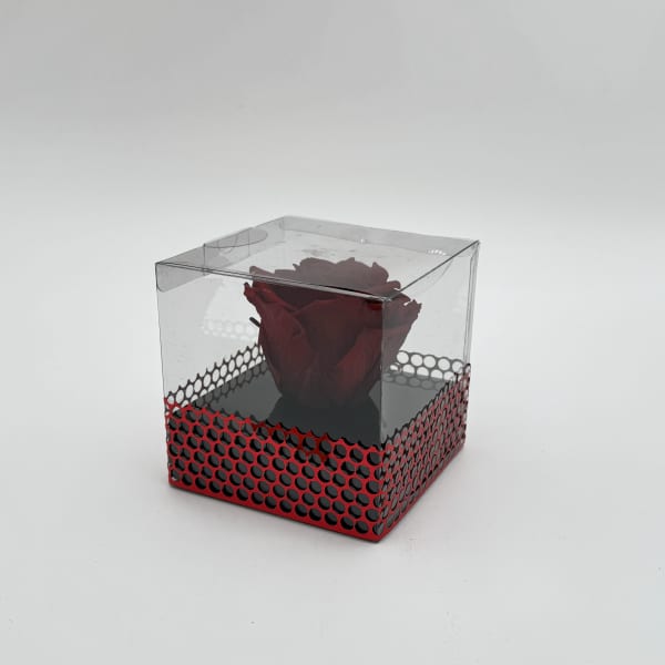 Single dark red rose in a clear box with a red patterned base