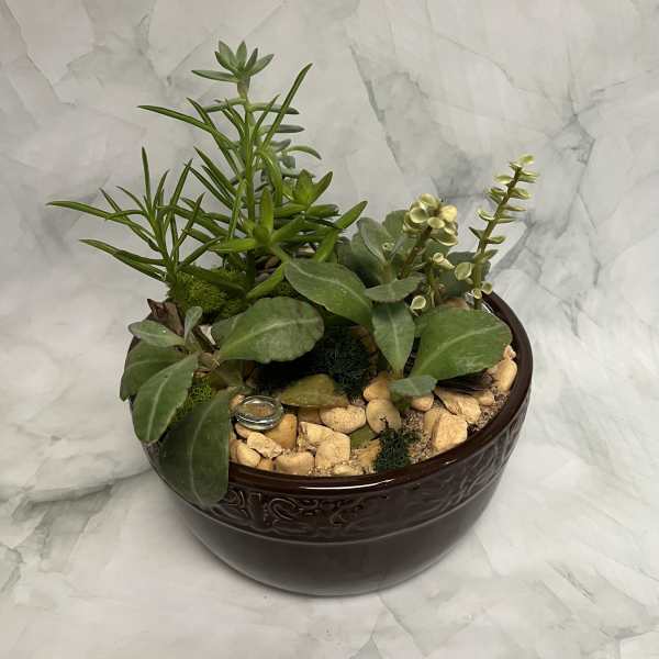 Succulent arrangement in a dark ceramic bowl with decorative stones