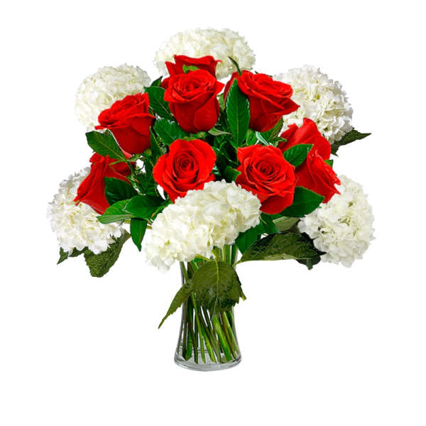 Red roses and white hydrangeas in a clear glass vase