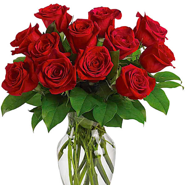 Bouquet of red roses in a clear glass vase