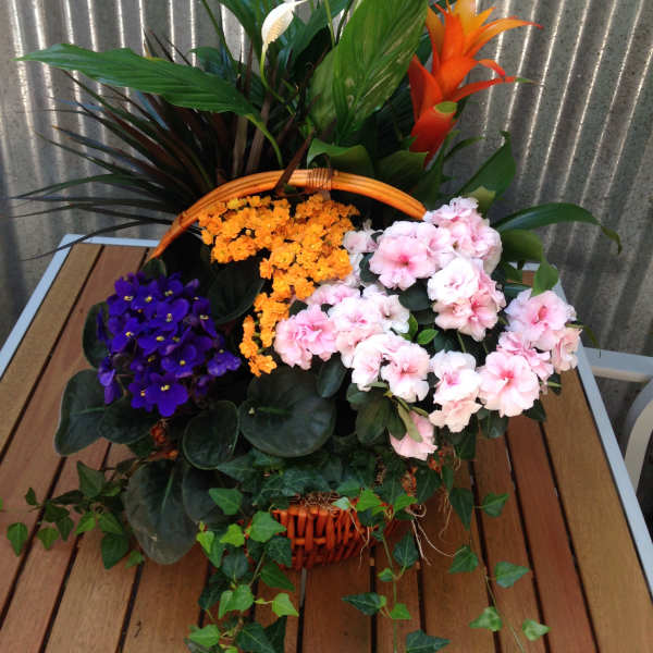 Basket arrangement with pink and purple flowers and tall tropical blooms