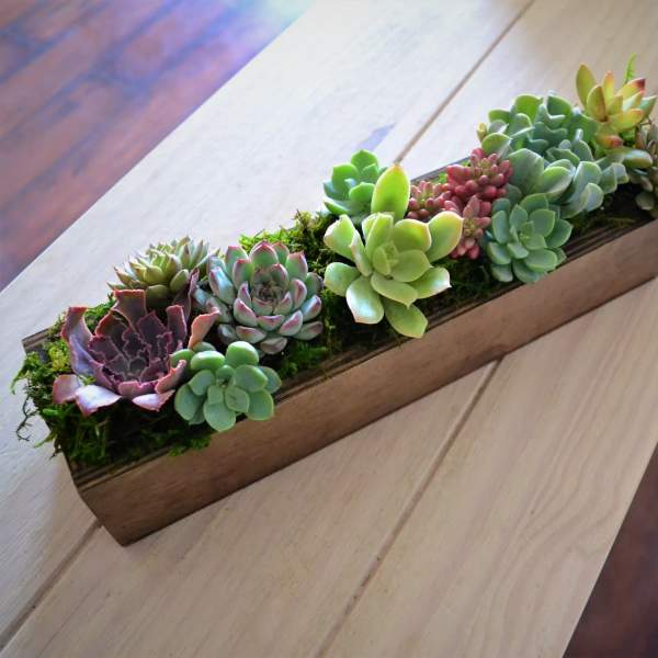 Succulent arrangement in a rectangular wooden planter