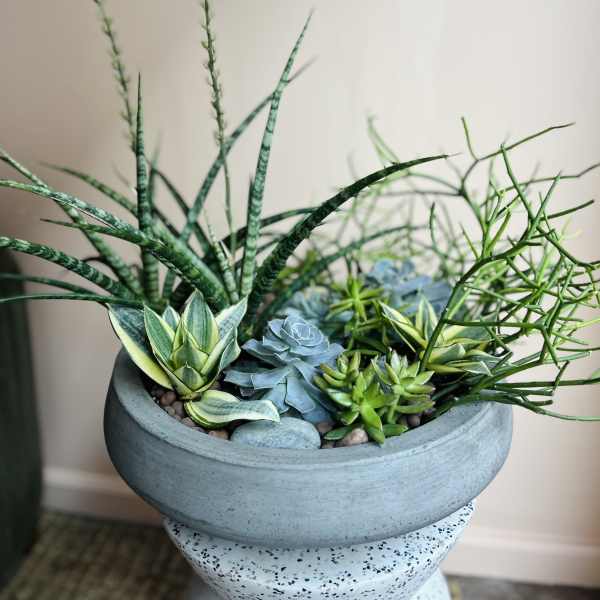 Assorted green and blue succulents in a round gray concrete planter on a pedestal