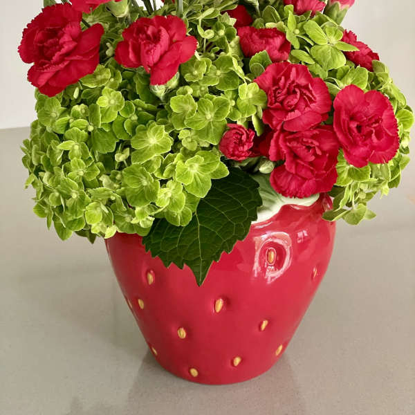 Red carnations in a strawberry-shaped red pot with green hydrangea