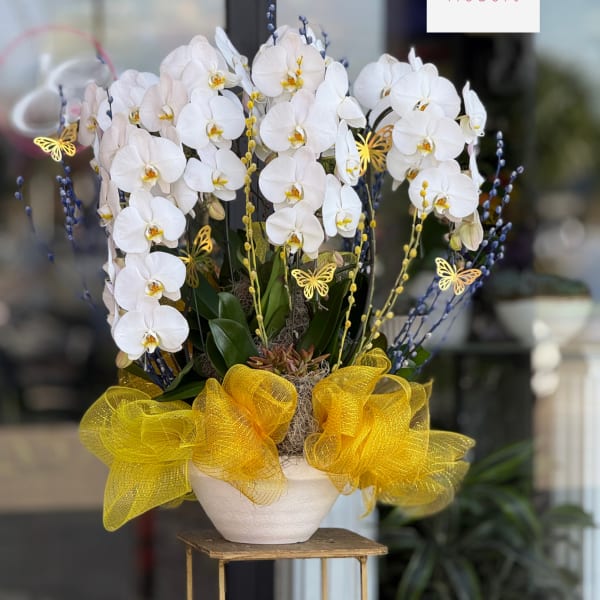 Orchid Arrangement #8