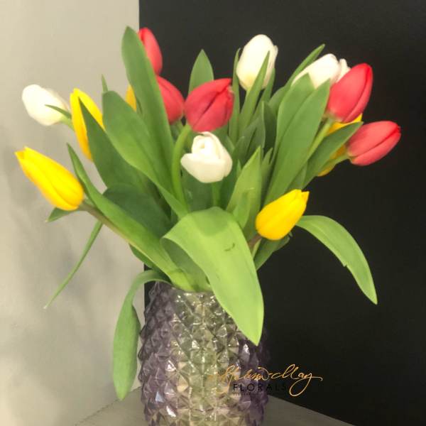 15 Tulips