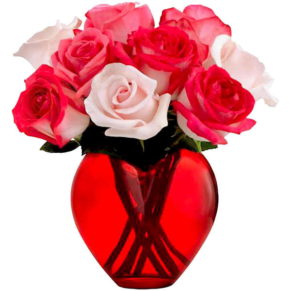 Pink and white roses in a red glass vase