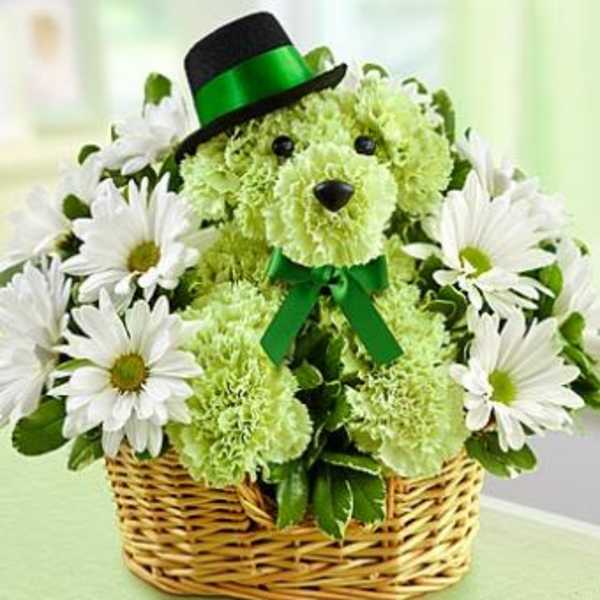 Green flower dog in a basket with white daisies and a black hat