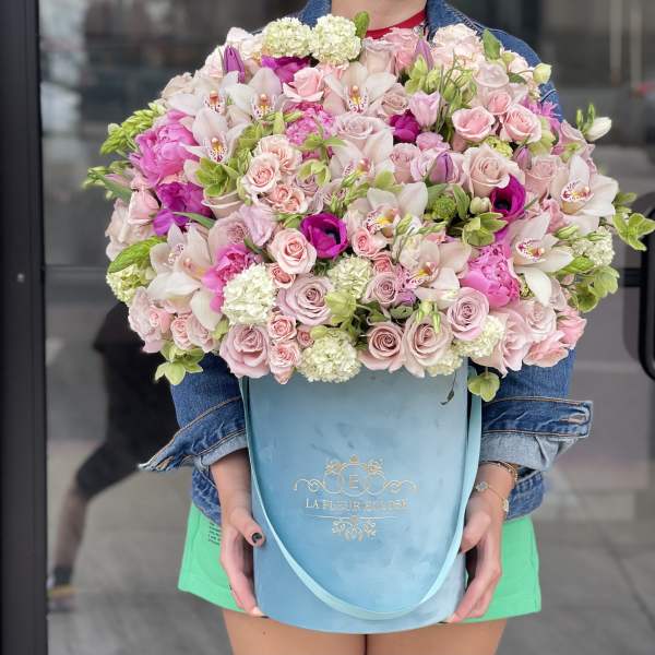 Caroline MD