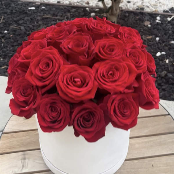 Red roses arranged in a white round box