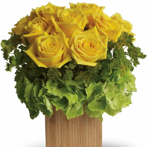 Yellow roses arranged in a wooden cube vase with green hydrangea