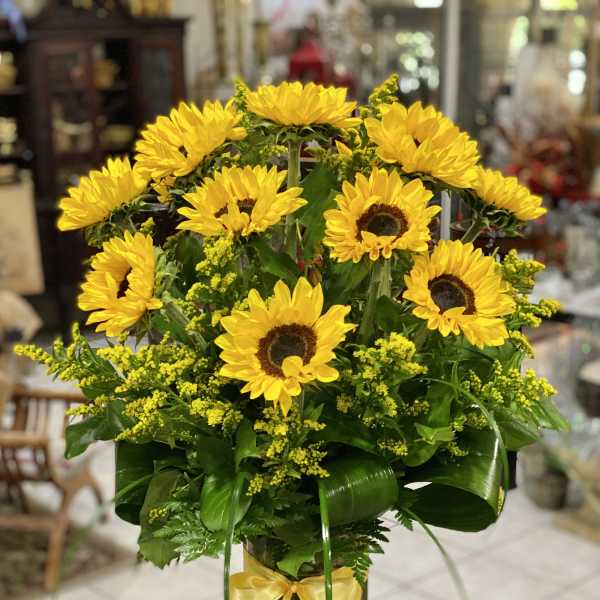 Tall arrangement of yellow sunflowers with yellow filler in a clear glass vase tied with a yellow ribbon.