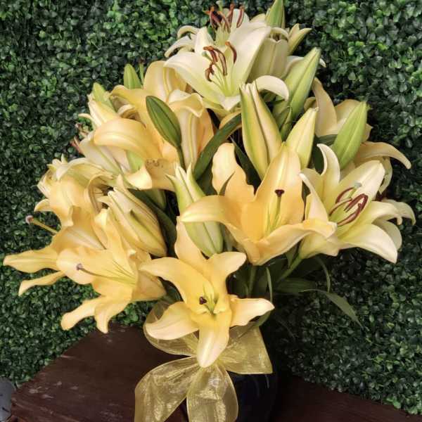 Bouquet of pale yellow lilies in a black vase with a gold ribbon