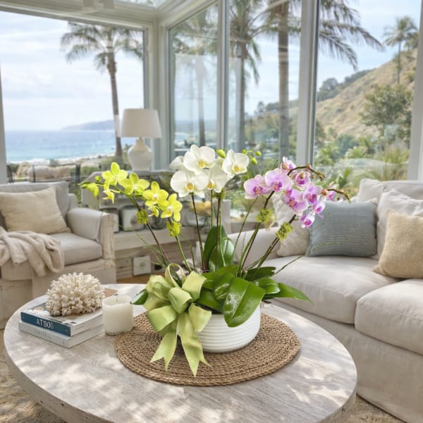 Orchid arrangement in a white pot with a green ribbon on a coffee table
